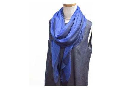 No.253 シルク カシミヤストール 「Frame」 blue【n0253_mut_A】