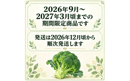 2026年12月より発送！こだわりブロッコリー　栽培期間中化学肥料/農薬不使用　2kg以上(5-8本)│事前受付 期間限定 ぶろっこりー 野菜 緑黄色野菜 お取り寄せ