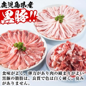 鹿児島県産黒豚セット 合計3kg 国産 黒豚 詰め合わせ 【Rana】A-411