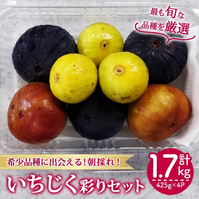 ＜期間限定！2026年8月下旬以降順次発送予定＞様々な品種のいちじく詰め合わせセット(約425g×4P・約1.7kg) 国産 フルーツ イチジク 小分け 食べ比べ 【man369】【はざま篠原農産合同会社】