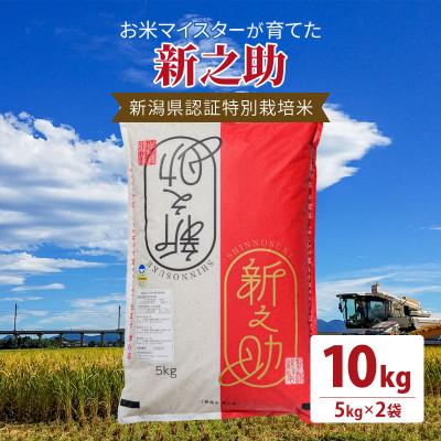 ふるさと納税 上越市 令和7年産お米マイスターが育てた新潟県認証特別栽培米「新之助」上越頸城産 10kg(5kg×2)精米