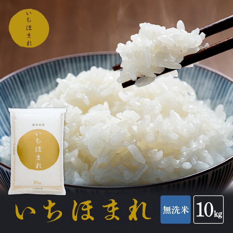 【ふるさと納税】無洗米 令和6年産 いちほまれ 10kg 福井 高級ブランド米 お米 おこめ 米 コメ こめ 白米 精米 ご飯 ごはん 福井県