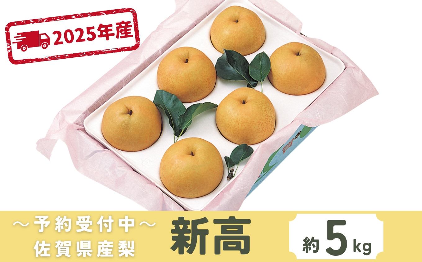 
            ＜先行予約受付中・令和7年9月下旬以降順次発送＞佐賀県産 梨（新高）5㎏［A0131-A04］
          