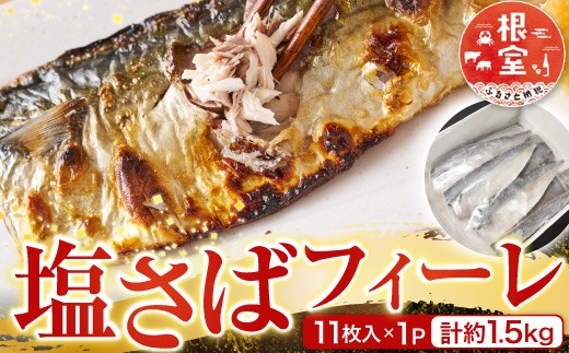 
            G-28021 根室海鮮市場＜直送＞塩さばフィーレ11枚入×1P(計約1.5kg)
          