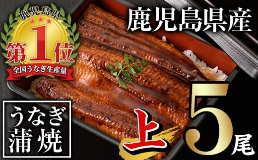 無投薬！鹿児島県産うなぎ蒲焼セット＜上＞(計700g以上・ 140g以上×5尾) タレ・山椒付き 鰻 ウナギ 国産【西日本養鰻】B170-v01