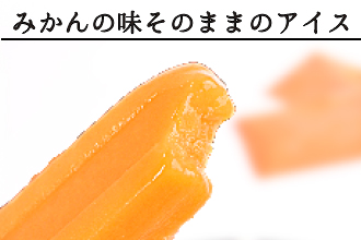 495.【早和果樹園】みかんアイスバー（氷菓）30本入（A495-3）