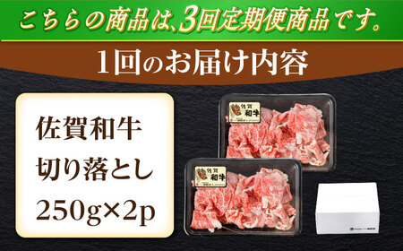 【3回定期便】佐賀和牛 切り落とし 計500g(250g×2p)【一ノ瀬畜産】[NAC162]