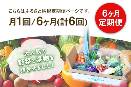 【6ヶ月定期便】 旬の野菜・果物詰合せ 10-15品目 野菜セット