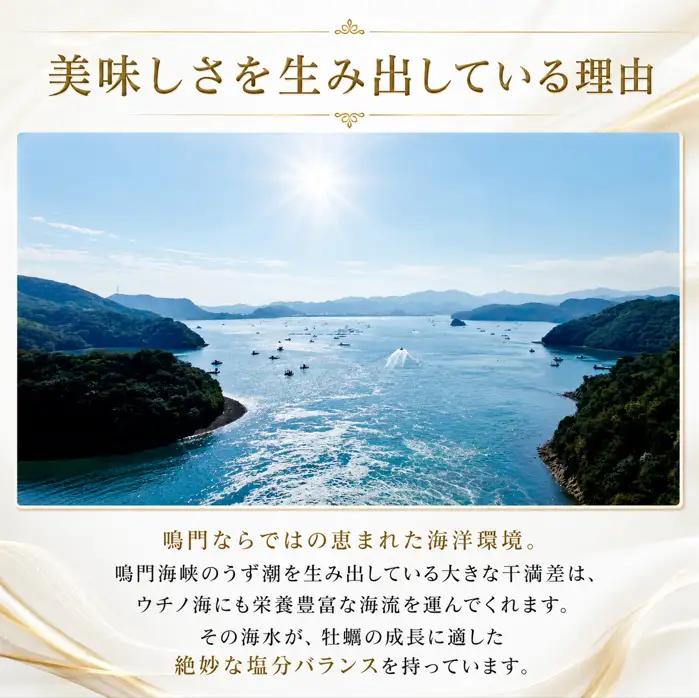 牡蠣 生食用 《全国牡蠣-1グランプリ 準グランプリ受賞！》 25個
