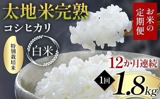【先行予約】お米の定期便 特別栽培米 太地米完熟 【こしひかり】 白米1.8kg×12か月連続 ブランド米 お米 精米 白米 人気 F7X-0687