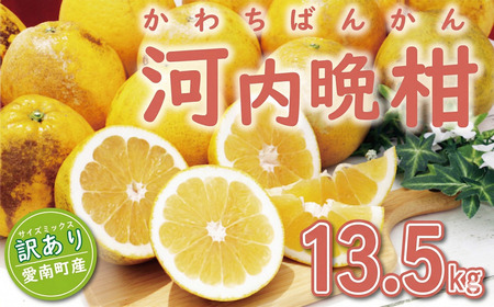 訳あり 河内晩柑 13.5kg (サイズミックス) 傷み保証500g 河内晩柑