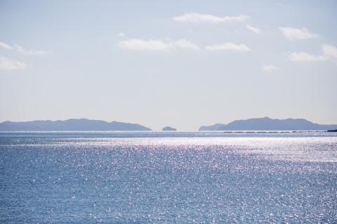 老舗網元　浜田のちりめんA