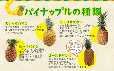 【2026年発送】先行予約 かりゆしゴールド 2玉（約3.0kg～3.8kg） パイナップル ゴールドバレル 甘い ジューシー デザート 高級 フルーツ 家族 子供 果物 取り寄せ 旬 おすすめ ギフ