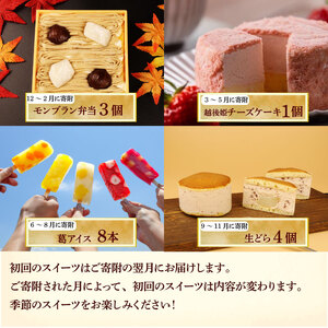 スイーツ 定期便 全3回 チーズケーキ ガトーショコラ モンブラン 苺 チーズ 葛アイス アイス あんこ どら焼き なまどらやき お菓子 デザート おやつ 新柳本店 新潟 新発田 sinyanagi0