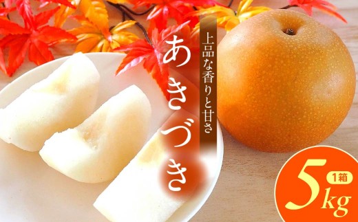 梨 あきづき 5kg 11玉 12玉  2026年 先行予約 数量限定 | 梨 フルーツ 果物 あきづき 和梨 産地直送 限定品 贈り物 新鮮 お取り寄せ デザート ギフト 風味豊か 香り 上品 甘い 限定 果樹 旬 ジューシー みずみずしい 高糖度 季節のフルーツ 埼玉県 久喜市