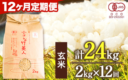 【12か月定期便】令和6年産 小さな竹美人 玄米 2kg(2kg×1袋) 株式会社コモリファーム《お申込み月の翌月から出荷開始》