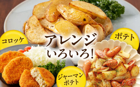 男爵芋・玉ねぎセット 8kg ( 男爵芋 5?s 玉ねぎ 3kg ) 《喜茂別町》【Aコープようてい】 じゃがいも ジャガイモ 玉ねぎ 男爵芋 季節の野菜 産地直送[AJAK034]