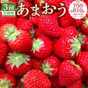 【ふるさと納税】【3回定期便】あまおう 約750-810g（約250-270g×3パック）×3回 合計約2,250-2,430g G規格 いちご イチゴ 苺 ストロベリー ベリー フルーツ 果物 旬 冷蔵 福岡県 岡垣町 送料無料 【2025年1月下旬～3月下旬発送予定】