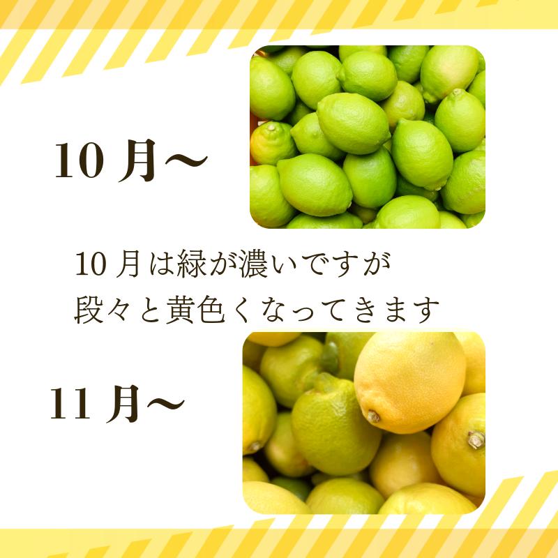 【2026年11月発送】レモン 2kg 秀品  国産 レモン 檸檬 れもん ワックス不使用 防腐剤不使用 柑橘 果汁 フルーツ 果実 徳島 小松島市