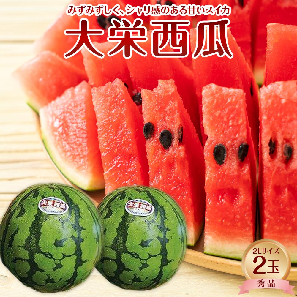 【ふるさと納税】733.【先行予約】【JA】大栄西瓜 秀2L×2玉　※着日指定不可　※離島への配送不可　※2026年6月中旬頃～7月中旬頃に順次発送予定 | 西瓜 大栄スイカ スイカ 果物 フルーツ くだもの 鳥取県 北栄町 おすすめ 人気 送料無料