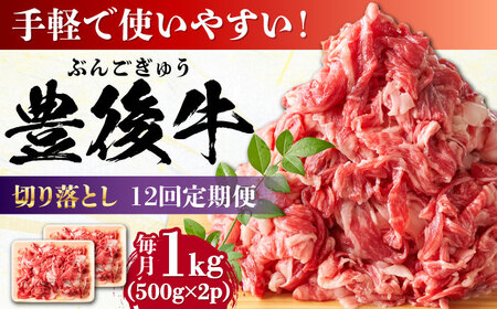 【全12回定期便】【 小分けで便利！】おおいた豊後牛 牛肉 切り落とし 1kg (500g×2) 牛肉切り落とし 豊後牛[AREI046]