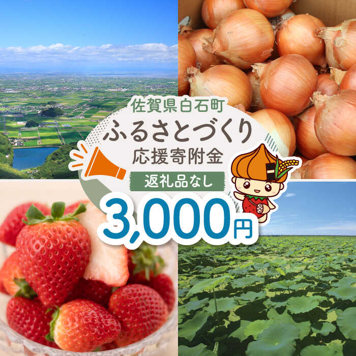 【ふるさと納税】【返礼品なし】佐賀県白石町 ふるさとづくり応援寄附金（3,000円分） 佐賀県 白石町 白石 [IZY004]