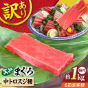 【ふるさと納税】【全6回定期便】【訳あり】天然 本まぐろ 中トロスジ（約1kg） マグロ 定期 鮪 まぐろ 中とろ 刺身 定期便 横須賀 【本まぐろ直売所】[AKAK069]