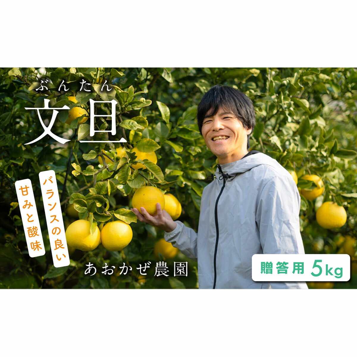 【ふるさと納税】あおかぜ農園の土佐文旦5kg贈答用
