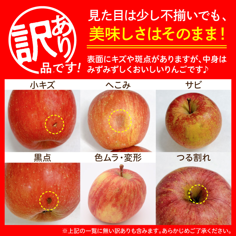 【2027年1月下旬発送】【訳あり】りんご 約10kg サンふじ 青森産