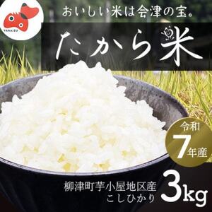 【令和7年産】奥会津のきれいな水で大切に育てた「たから米」【3kg】【1679649】
