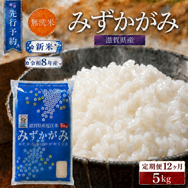 【ふるさと納税】【令和8年産】 先行予約 新米 BG無洗米 みずかがみ 5kg 12回定期便 令和8年産 定期便 米 無洗 無洗米 こめ コメ お米 ご飯 米 ミズカガミ 米定期便 12か月定期便 12ヶ月定期便 12回 12ヶ月 12か月 滋賀県 豊郷 豊郷町　お届け：2026年10月中旬～2027年12月末