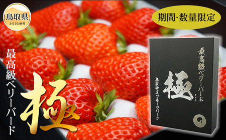 最高級ベリーバード 『極』【期間･数量限定】_T2600405