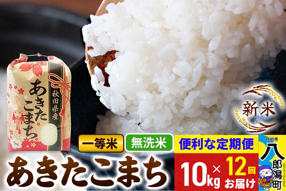 
                  《新米》《定期便12ヶ月》あきたこまち 一等米 10kg【無洗米】 令和8年産 秋田県産 こまちライン [新米 こまちライン あきたこまち ブランド米 お米 白米 精米 米どころ 秋田 秋田県産]
                