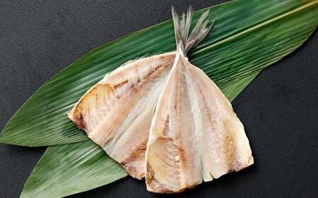 【訳アリ】 「長崎蚊焼干し」 あじ干物 15枚入り ／ 蚊焼干し あじ アジ 干物 海鮮 海産物 魚介類 訳あり わけあり 理由あり 九州 長崎県 長崎市 冷凍