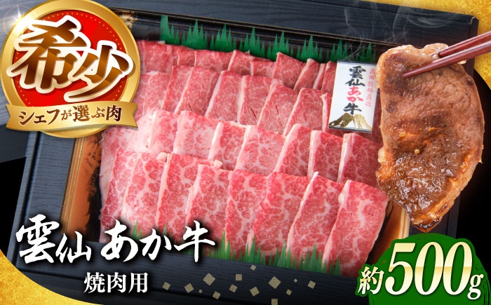 
            あか牛【希少】雲仙 あか牛 焼肉用 500g / 国産 長崎和牛 牛 牛肉 冷凍 赤牛 和牛 あかうし 赤牛 あか牛 牛肉 / 南島原市 / 株式会社高田牧場 [SGQ007]
          