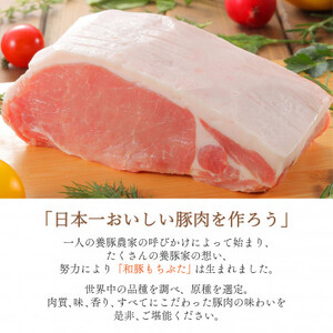 【ブランド豚】柔らかジューシーな肉質!「和豚もちぶた」贅沢3種セット【配送不可地域：離島】【1476933】