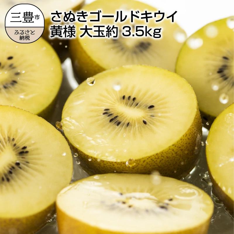M02-0032_【ふるさと納税】【締め切り間近: 11月30日まで】【先行予約】 【配送不可地域：北海道・沖縄県・離島】さぬきゴールドキウイ 「黄様（おうさま）」 大玉約3.5kg  秋 旬