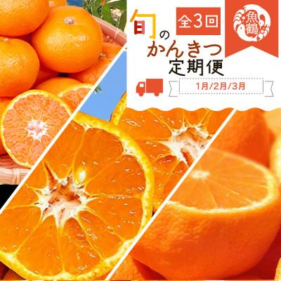 ふるさと納税 由良町 【発送月固定定期便】紀州和歌山産旬のフルーツセット(みかん・不知火・せとか)全3回