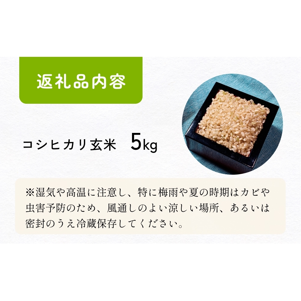 【交響するお米】［玄米］自然栽培 コシヒカリ 5kg（富山県 氷見市 / 令和7年産） |   移住農家が里山から直送 米 こしひかり_イメージ4