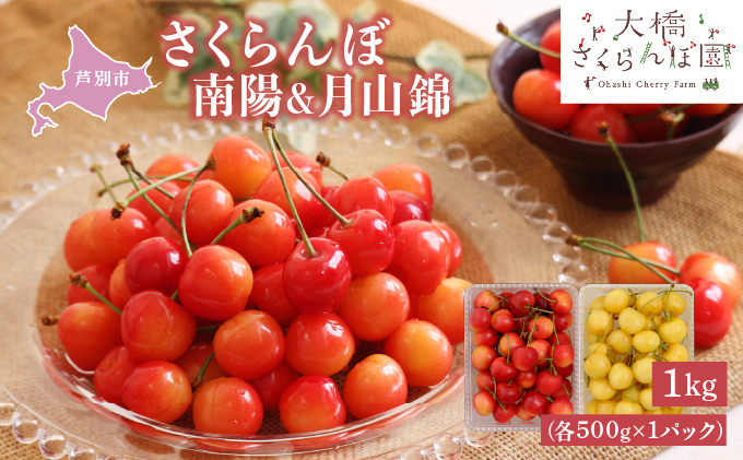 【先行受付】 さくらんぼ 南陽 & 月山錦 1kg(各500g×1パック) 北海道 芦別市 大橋さくらんぼ園