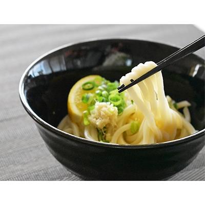 ふるさと納税 観音寺市 【工場直送】　本場さぬきうどん半生(つゆパック付)(18人前)