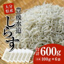 【ふるさと納税】 豊後水道産 しらす (合計600g・100g×6袋) 冷凍 しらす しらす丼 丼ぶり 魚 さかな ご飯 ごはん 炒飯 チャーハン パスタ サラダ 国産 大分県 パック 小分け 便利 大分県 佐伯市【CT09】【 (有)高橋商店】