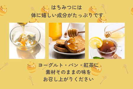 信州特産！！「国産純粋　天然 百花はちみつ」500ｇ｜ハチミツ 蜂蜜  [YY-102-2] 