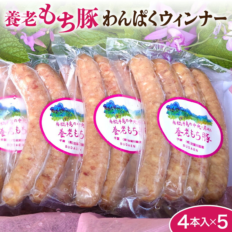【ふるさと納税】 もち豚 わんぱくウインナー ( 20本 110g × 5パック ) | ウインナー ソーセージ 豚肉 もち豚 国産 豚100% 粗挽き おかず おつまみ BBQ バーベキュー 冷凍 小分け お取り寄せ 人気 おすすめ 送料無料 千葉県 市原市