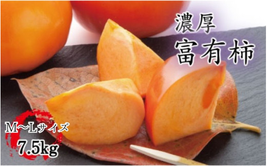 【秋の美味】【和歌山ブランド】 濃厚!富有柿　秀品　M～Lサイズ　約7.5kg入り※2025年11月中旬頃～12月上旬頃順次発送予定 / かき 柿 カキ フルーツ 果物 くだもの 【ard013C】