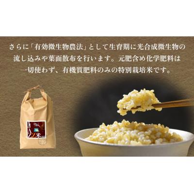 ふるさと納税 玖珠町 【令和8年産米先行受付】原農園 JAZZ米 玄米 4kg ひのひかり 米 お米 |  | 02