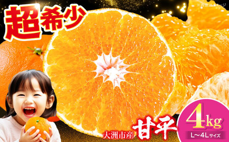  甘平 4kg 【2月下旬より順次発送】（Lから4Lサイズ）甘平 かんぺい[AGAR011]