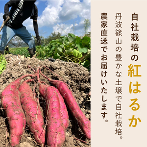 無添加 丹波篠山市産 紅はるか 干し芋 2kg | 兵庫県 丹波篠山市 さつまいも サツマイモ さつま芋 甘い ホクホク 熟成 甘い 柔らか おいしい 美味しい ねっとり 食物繊維 美容 スイーツ 国
