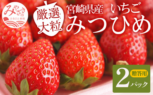 
期間・数量限定 宮崎県産いちご みつひめ 2パック1セット 1パックあたり大粒9粒～12粒 贈答用_M209-001
