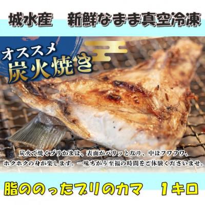 ふるさと納税 南伊勢町 【2ヵ月毎定期便】伊勢志摩産 ブリカマ 1kg キャンプで炭火焼がオススメ 真空冷凍 新鮮な鰤全3回